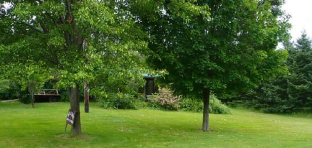 The South Glenora Tree Farm Bed & Breakfast Dundee Eksteriør bilde